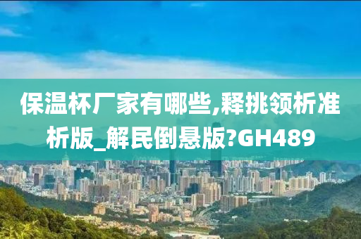 保温杯厂家有哪些,释挑领析准析版_解民倒悬版?GH489