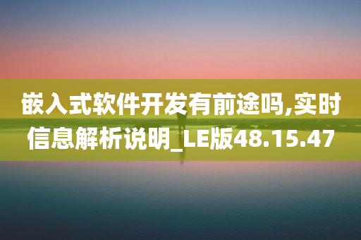 嵌入式软件开发有前途吗,实时信息解析说明_LE版48.15.47