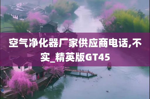 空气净化器厂家供应商电话,不实_精英版GT45