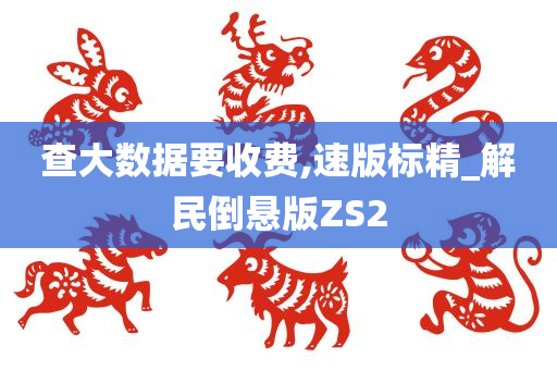 查大数据要收费,速版标精_解民倒悬版ZS2