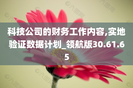 科技公司的财务工作内容,实地验证数据计划_领航版30.61.65