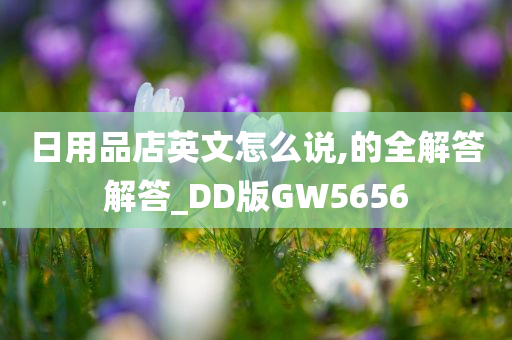 日用品店英文怎么说,的全解答解答_DD版GW5656