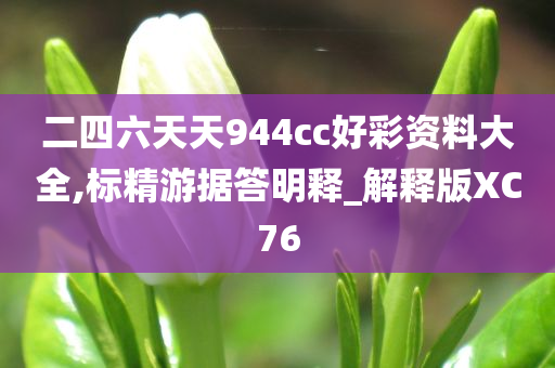 二四六天天944cc好彩资料大全,标精游据答明释_解释版XC76