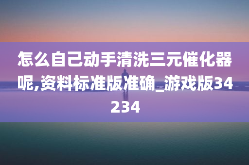 怎么自己动手清洗三元催化器呢,资料标准版准确_游戏版34234