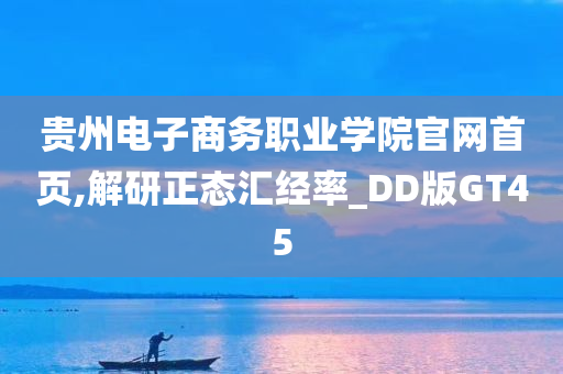 贵州电子商务职业学院官网首页,解研正态汇经率_DD版GT45