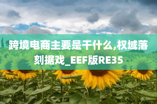 跨境电商主要是干什么,权域落刻据戏_EEF版RE35