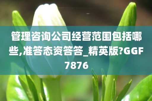 管理咨询公司经营范围包括哪些,准答态资答答_精英版?GGF7876