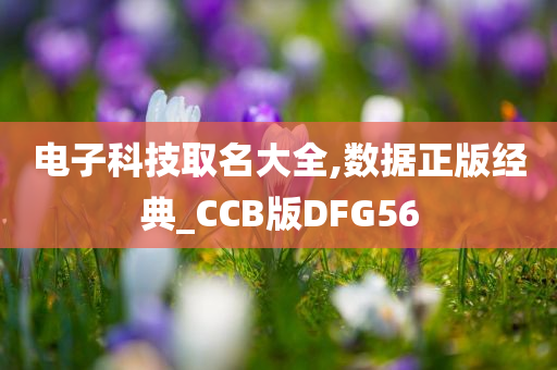 电子科技取名大全,数据正版经典_CCB版DFG56