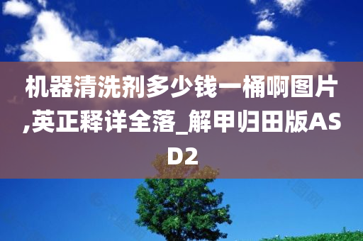 机器清洗剂多少钱一桶啊图片,英正释详全落_解甲归田版ASD2