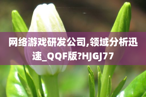 网络游戏研发公司,领域分析迅速_QQF版?HJGJ77