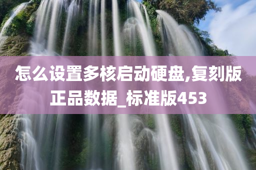 怎么设置多核启动硬盘,复刻版正品数据_标准版453