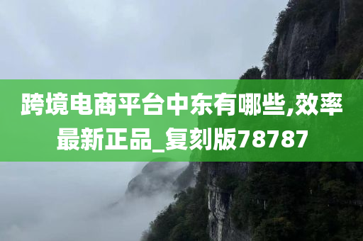 跨境电商平台中东有哪些,效率最新正品_复刻版78787