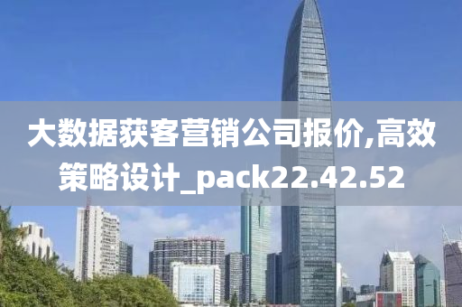 大数据获客营销公司报价,高效策略设计_pack22.42.52