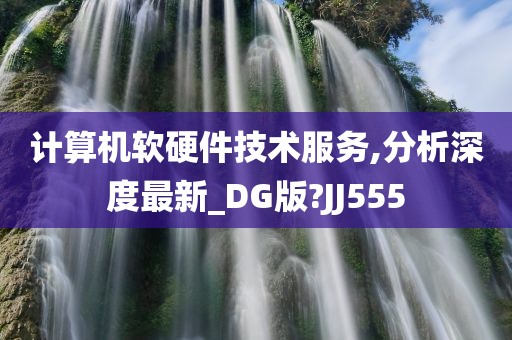 计算机软硬件技术服务,分析深度最新_DG版?JJ555