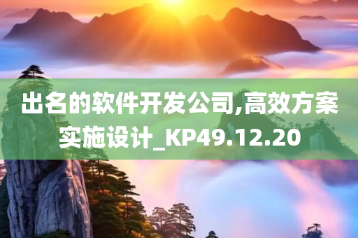 出名的软件开发公司,高效方案实施设计_KP49.12.20