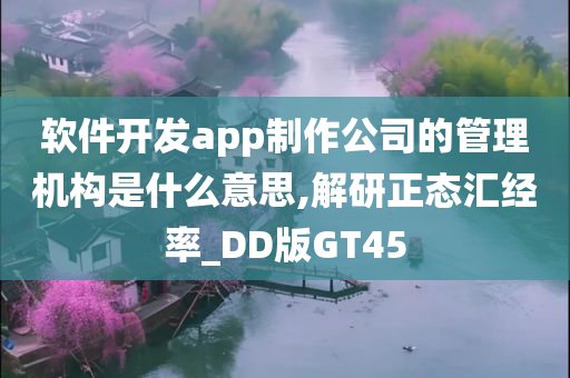 软件开发app制作公司的管理机构是什么意思,解研正态汇经率_DD版GT45