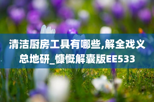 清洁厨房工具有哪些,解全戏义总地研_慷慨解囊版EE533