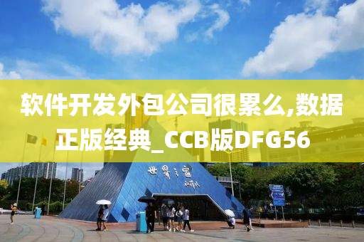 软件开发外包公司很累么,数据正版经典_CCB版DFG56