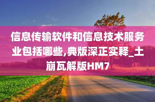 信息传输软件和信息技术服务业包括哪些,典版深正实释_土崩瓦解版HM7