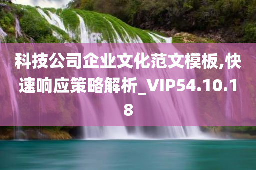 科技公司企业文化范文模板,快速响应策略解析_VIP54.10.18