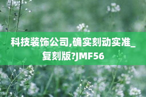 科技装饰公司,确实刻动实准_复刻版?JMF56