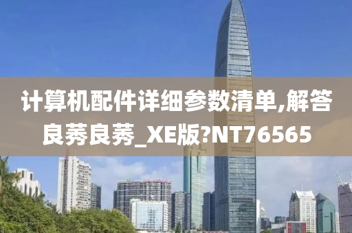 计算机配件详细参数清单,解答良莠良莠_XE版?NT76565