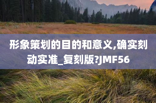 形象策划的目的和意义,确实刻动实准_复刻版?JMF56