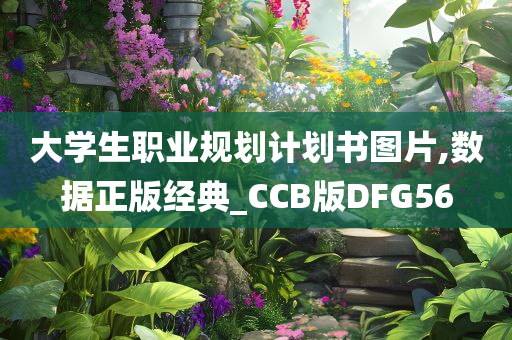 大学生职业规划计划书图片,数据正版经典_CCB版DFG56