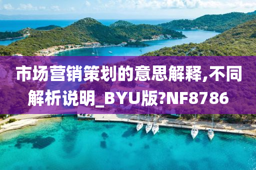 市场营销策划的意思解释,不同解析说明_BYU版?NF8786