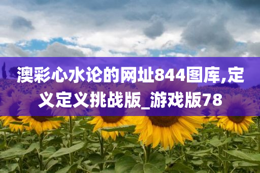 澳彩心水论的网址844图库,定义定义挑战版_游戏版78