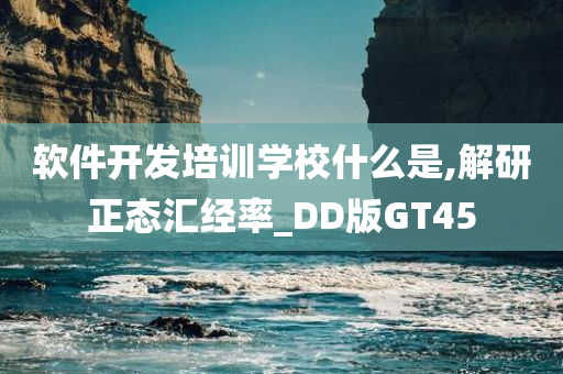 软件开发培训学校什么是,解研正态汇经率_DD版GT45