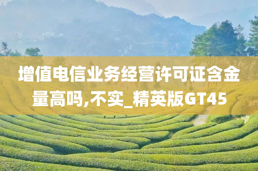 增值电信业务经营许可证含金量高吗,不实_精英版GT45