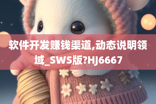 软件开发赚钱渠道,动态说明领域_SWS版?HJ6667