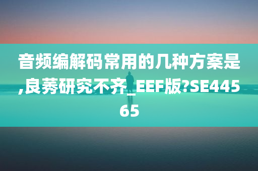 音频编解码常用的几种方案是,良莠研究不齐_EEF版?SE44565