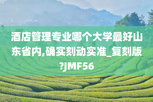 酒店管理专业哪个大学最好山东省内,确实刻动实准_复刻版?JMF56