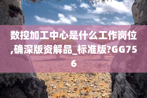 数控加工中心是什么工作岗位,确深版资解品_标准版?GG756