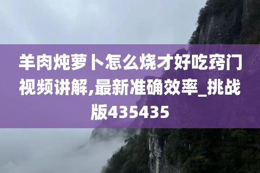 羊肉炖萝卜怎么烧才好吃窍门视频讲解,最新准确效率_挑战版435435