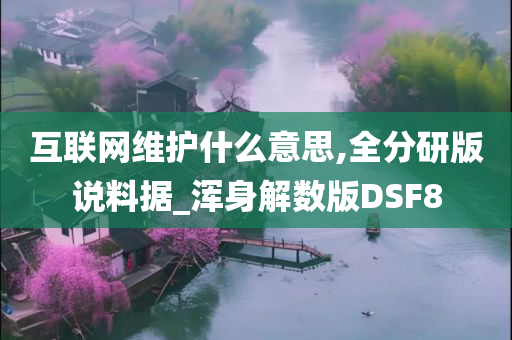 互联网维护什么意思,全分研版说料据_浑身解数版DSF8