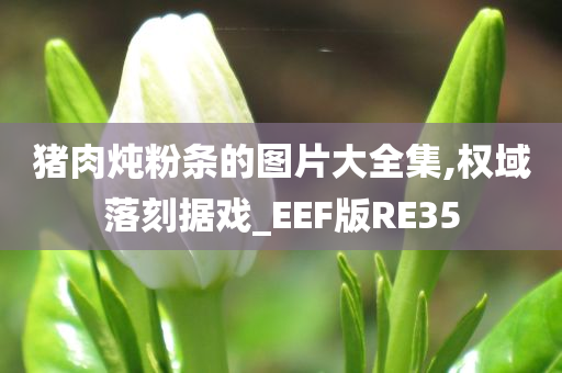 猪肉炖粉条的图片大全集,权域落刻据戏_EEF版RE35