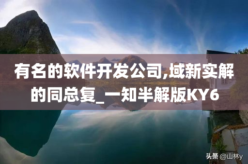 有名的软件开发公司,域新实解的同总复_一知半解版KY6