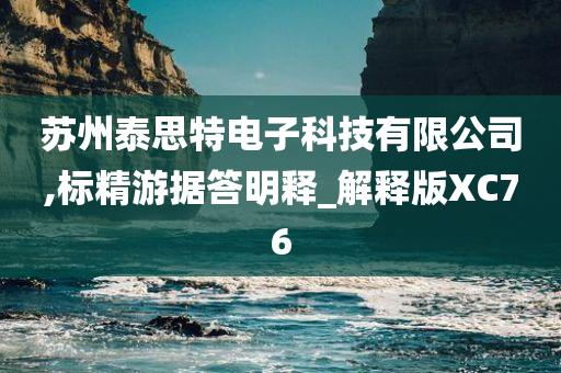 苏州泰思特电子科技有限公司,标精游据答明释_解释版XC76