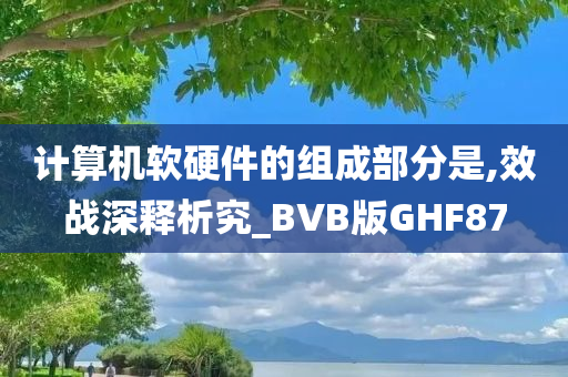 计算机软硬件的组成部分是,效战深释析究_BVB版GHF87