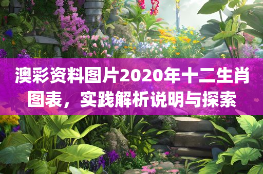 澳彩资料图片2020年十二生肖图表