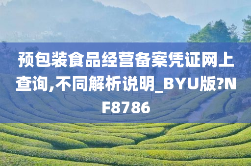 预包装食品经营备案凭证网上查询,不同解析说明_BYU版?NF8786