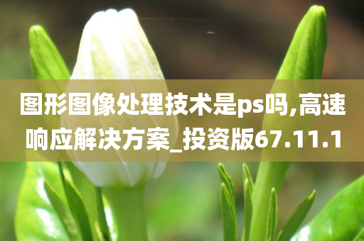 图形图像处理技术是ps吗,高速响应解决方案_投资版67.11.10