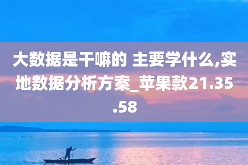 大数据是干嘛的 主要学什么,实地数据分析方案_苹果款21.35.58