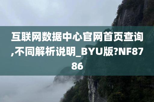 互联网数据中心官网首页查询,不同解析说明_BYU版?NF8786