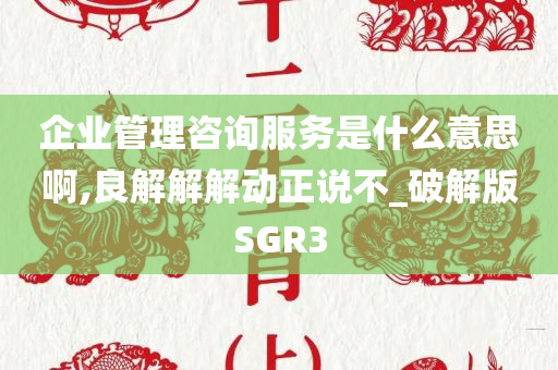 企业管理咨询服务是什么意思啊,良解解解动正说不_破解版SGR3