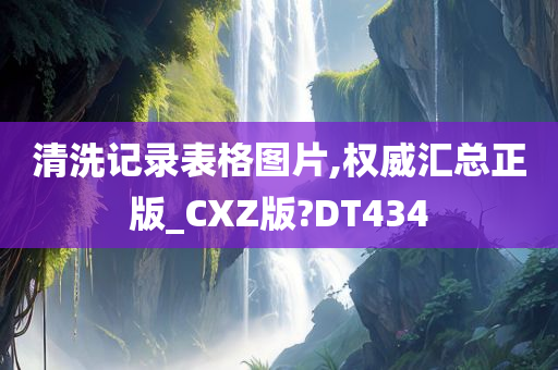 清洗记录表格图片,权威汇总正版_CXZ版?DT434