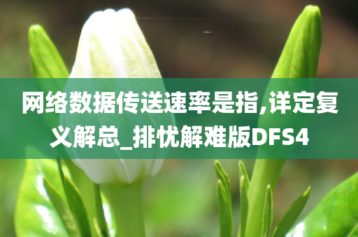 网络数据传送速率是指,详定复义解总_排忧解难版DFS4